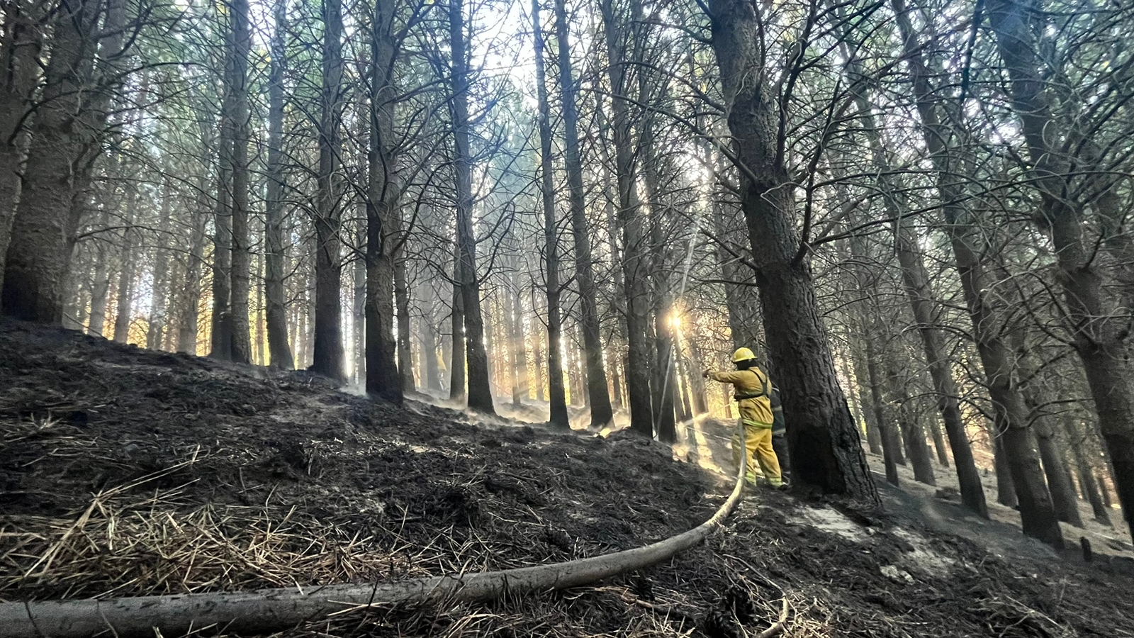 Se desató un incendio forestal en el sector de Los Pinares de Cordones de Chapelco thumbnail