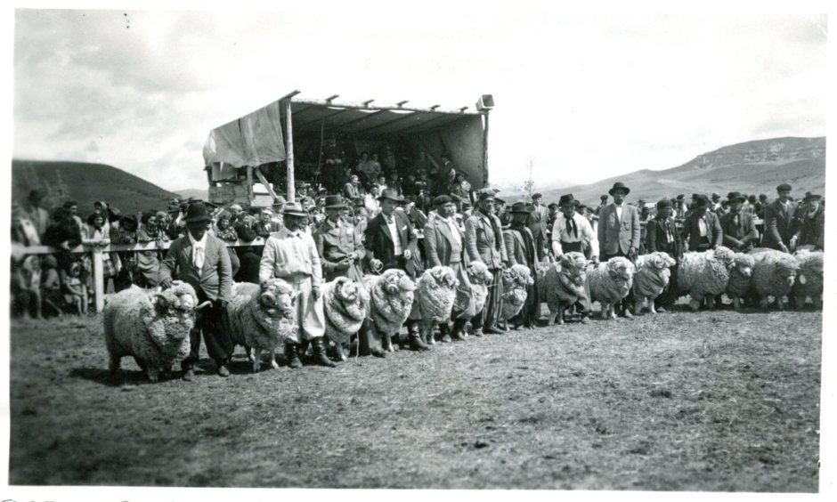 La Sociedad Rural de Neuquén cumple 90 años impulsando el desarrollo de la región